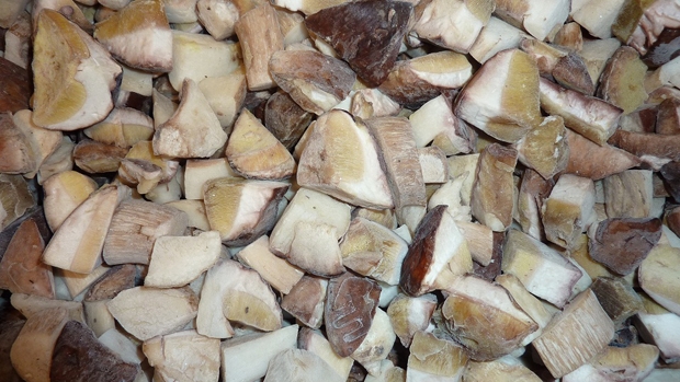 LAS-BOR Produktion Verarbeitung Export von Pilzen Pilze Waldfrüchte gefrorene Pilze frisch in Polen blanchiert 11